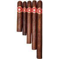 Punch Left Hook Maduro 5ct Sampler