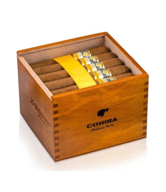 Cohiba Robusto