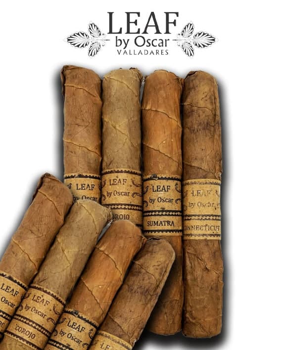 Leaf by Oscar Sampler