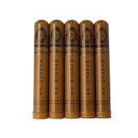 Perdomo Champagne Sun Grown Magnum 5 Pack