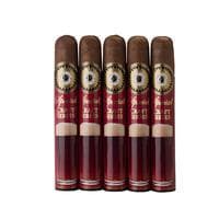 Perdomo Craft Series Amber Robusto Sun Grown 5 Pack
