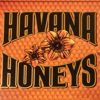 Havana Honeys Dominican Del Sol Vanilla 5 Pack