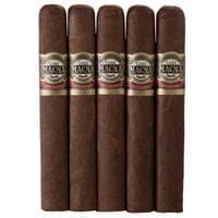 Casa Magna Colorado Gordo Real 5 Pack