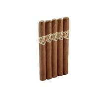 Avo XO Preludio 5 Pack