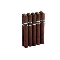 CroMagnon Anthropology 10 Pack