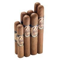 Sucker Punch Sampler