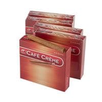 Wintermans Cafe Creme (Arome) Oriental 5/20