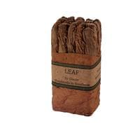 Leaf By Oscar Lancero Maduro