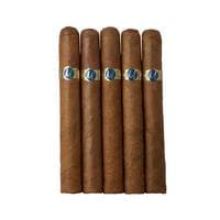 Maroma Tawny Toro 5 Pack
