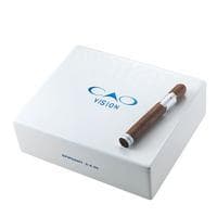 CAO Vision Epiphany