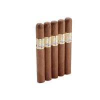 Asylum Insidious Toro 5 Pack