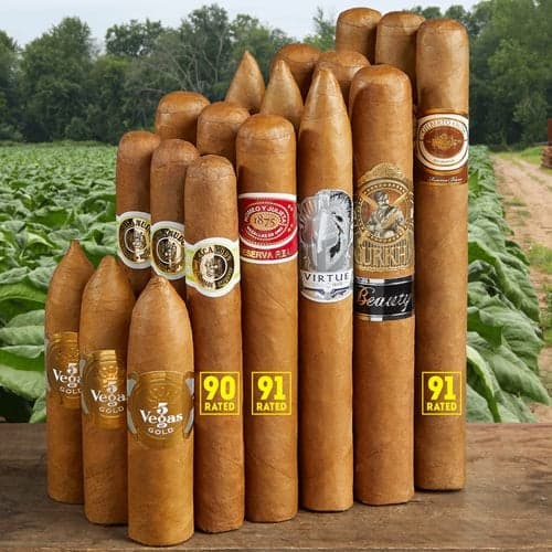 CI's Sunrise Sampler
