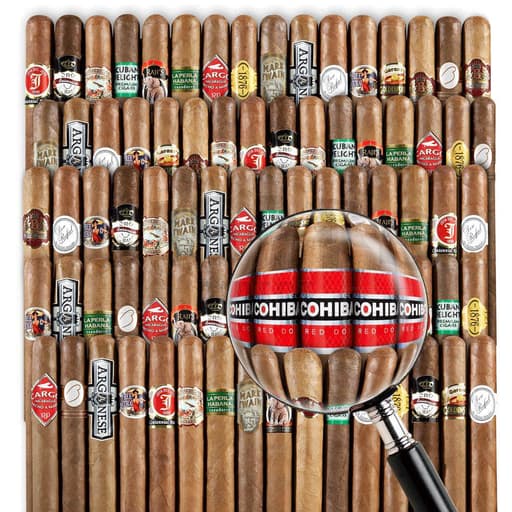 Buy The Bender Ender 80-Cigar Sampler
