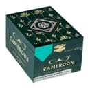 Buy CAO L'Anniversaire Cameroon Robusto Cigars Online &amp; Save Big