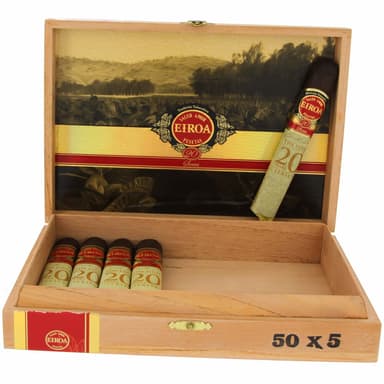Eiroa The First 20 Years