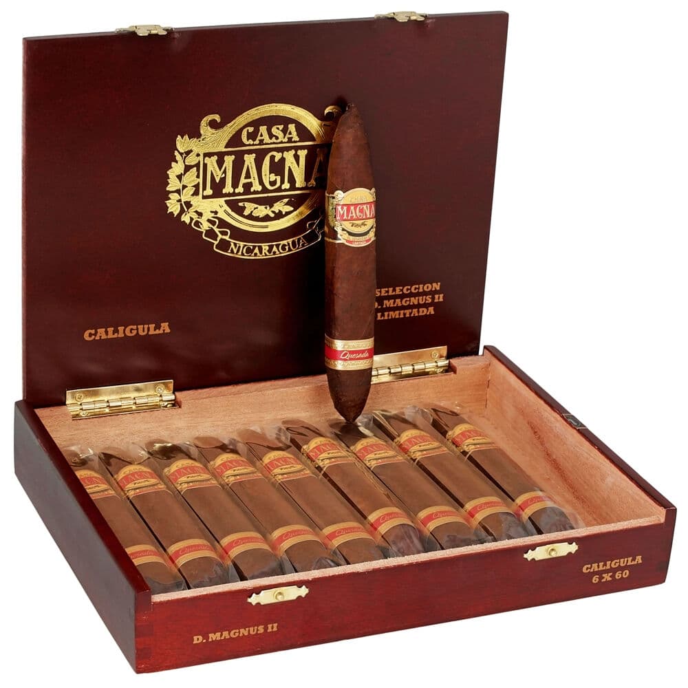 Casa Magna D. Magnus II