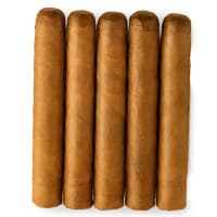 Mystery 5-Pack