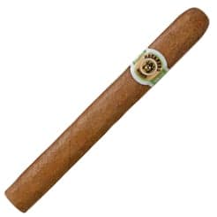 Macanudo Ascot