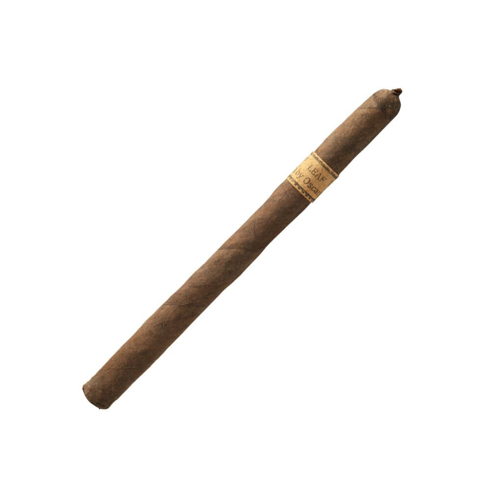Leaf by Oscar Maduro