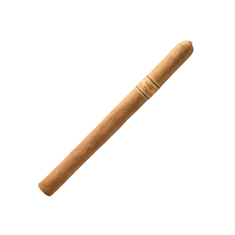 Leaf by Oscar Sumatra