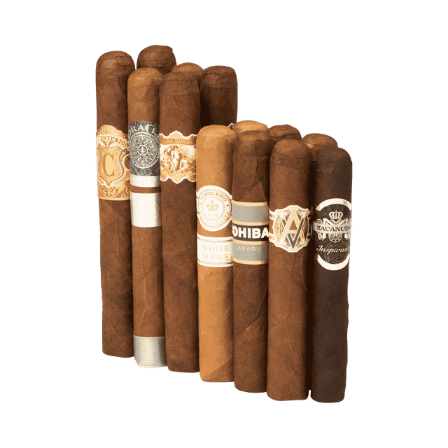 13-Count Classy Vibes Sampler