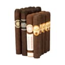 Forever Bold Sampler